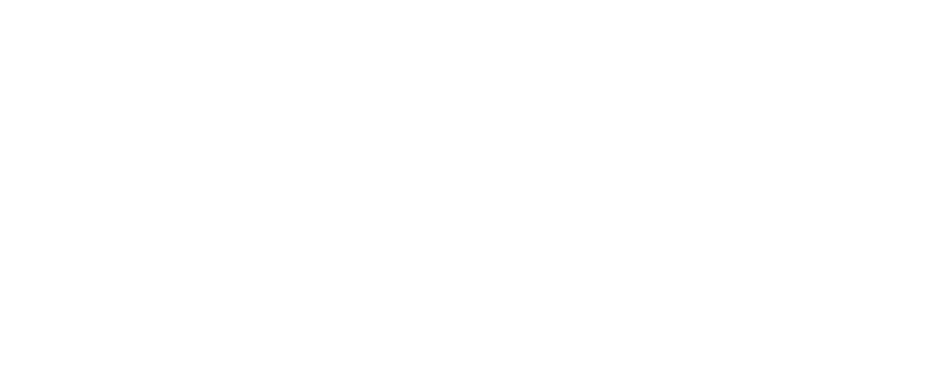 SPECTR WSO2 Solution Partner
